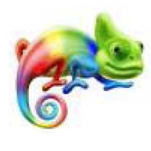 Microsoft Word - Chameleon flyer-1